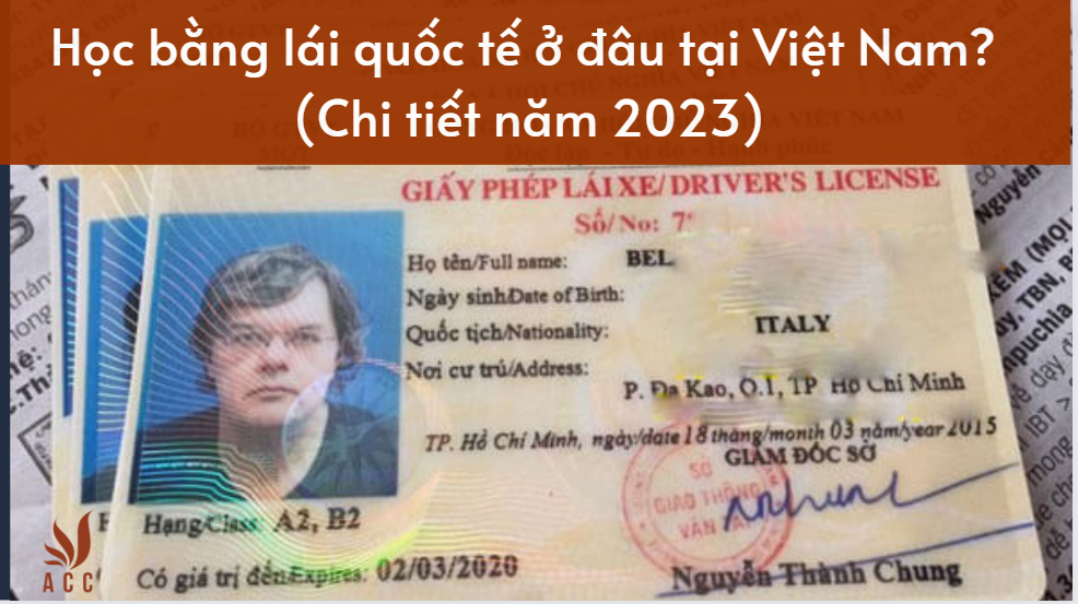 Học bằng lái quốc tế ở đâu tại Việt Nam? (Chi tiết năm 2023)