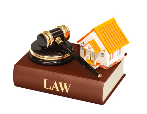 Sở tài chính bình định đấu giá đất
