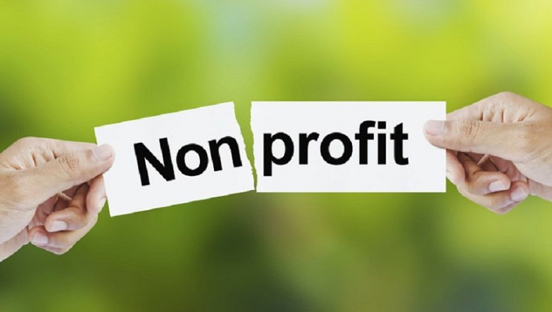 tổ chức lợi nhuận và phi lợi nhuận