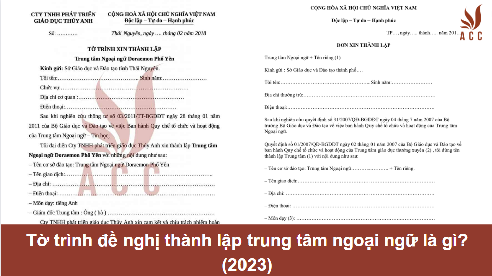 to-trinh-thanh-lap-tt-nn-la-gi